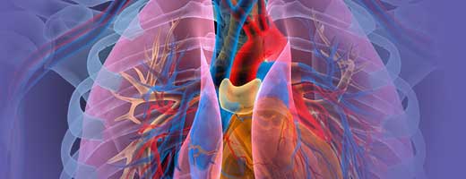 Abstract lung artwork
