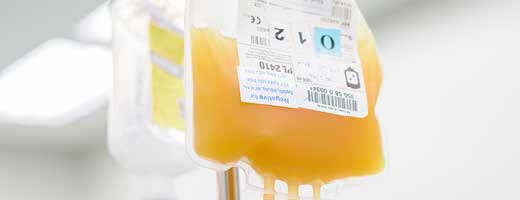 A IV bag of fresh frozen plasma